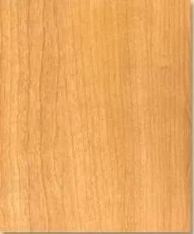 _20210312175656 _20210312175656